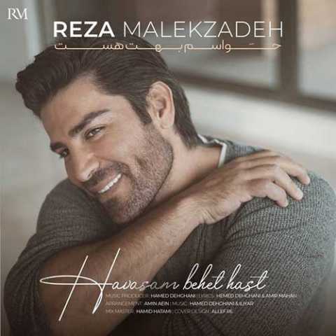 دانلود آهنگ رضا ملک زاده حواسم بهت هست 1 Reza Malekzadeh Havasam Behet Hast